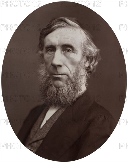 John Tyndall, DCL, LLD, FRS, Professor of Natural Philosophy at the Royal Institution, 1877.Artist: Lock & Whitfield