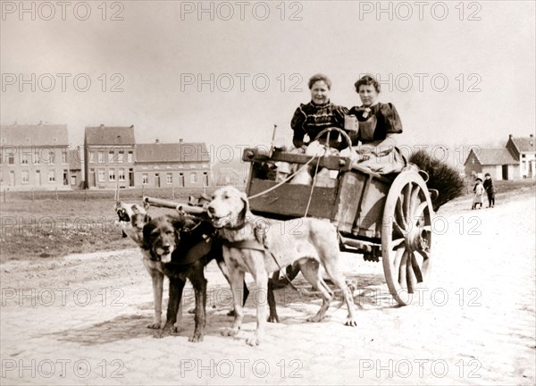 Dogs pulling women on a cart, Antwerp, 1898.Artist: James Batkin