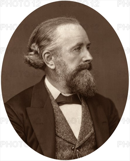 Professor Edward Frankland, 1880.Artist: Lock & Whitfield