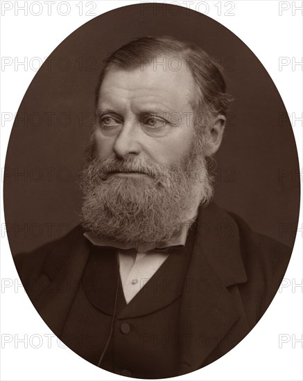 William Edward Forster MP, 1878.Artist: Lock & Whitfield