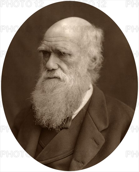 Charles Darwin, 1878.Artist: Lock & Whitfield