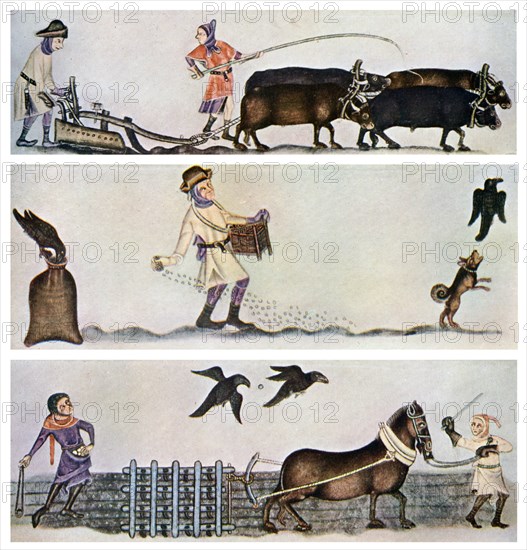 Ploughing, sowing, and harrowing, c1300-1340, (c1900-1920). Artist: Unknown