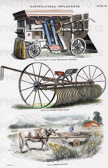 Agricultural implements, 19th century. Artist: Unknown