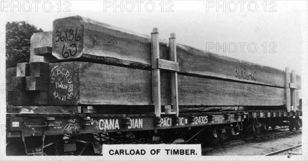 Carload of Douglas fir, Canada, c1920s. Artist: Unknown