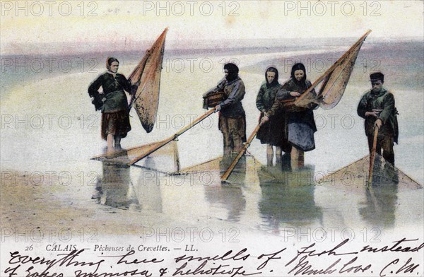 Women shrimp fishers, Calais, 1905. Artist: Unknown