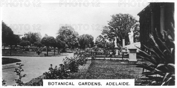 Botanical Gardens, Adelaide, Australia, 1928. Artist: Unknown