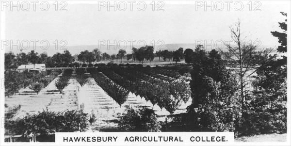 Hawkesbury Agricultural College, New South Wales, Australia, 1928. Artist: Unknown