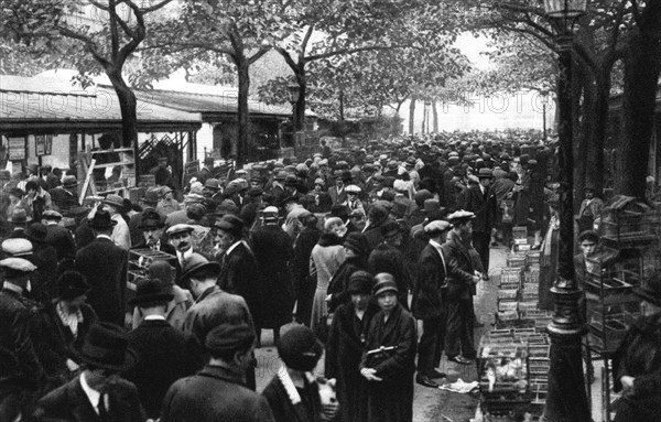 General view of the bird market, Paris, 1931.Artist: Ernest Flammarion