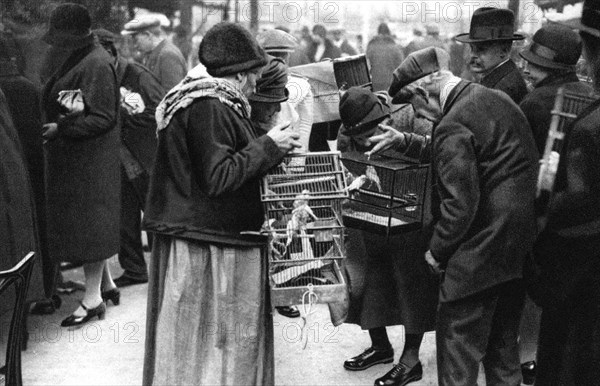 A group of buyers of canaries, Paris, 1931.Artist: Ernest Flammarion