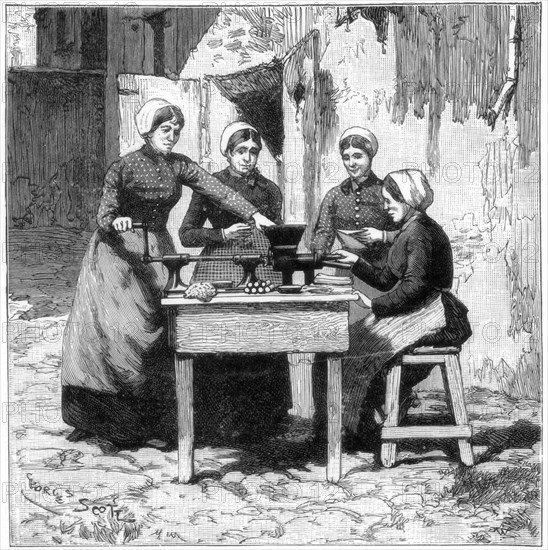 Moulding explosive gum cartridges, Isleten, near Fluelen, Switzerland, 1893. Artist: Unknown