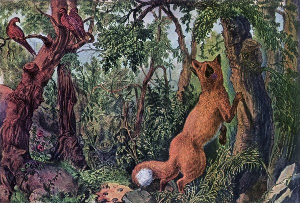 'The Puzzled Fox', 1872.Artist: Currier and Ives