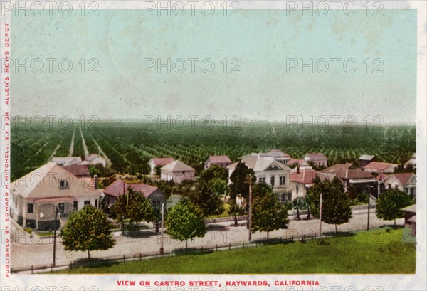Castro Street, Hayward, California, 1905. Artist: Unknown