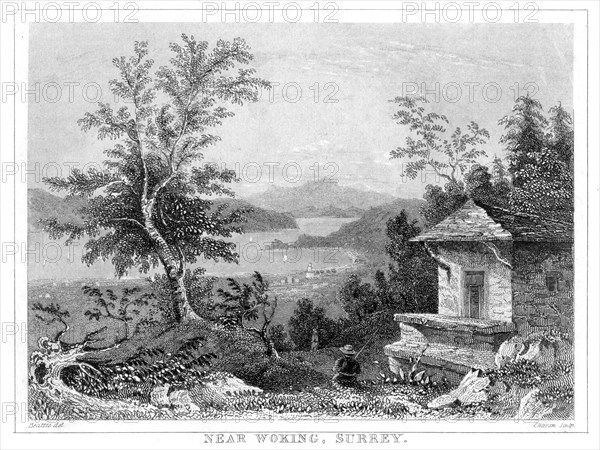 Near Woking, Surrey, 19th century.Artist: Chavan