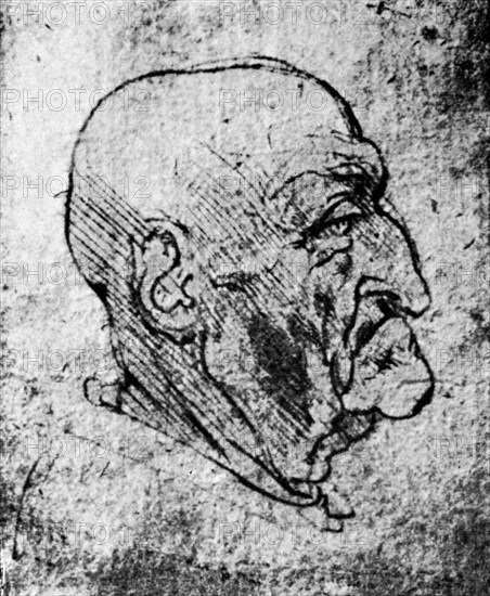 'Head of an Old Man', 1913. Artist: Leonardo da Vinci