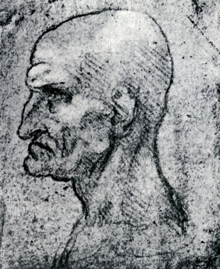 'Head of an Old Man', 1913. Artist: Leonardo da Vinci