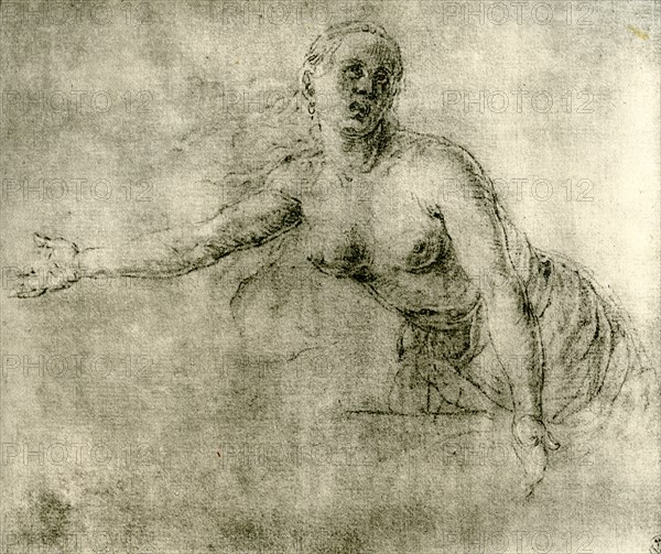 A study, 1913. Artist: Albrecht Dürer