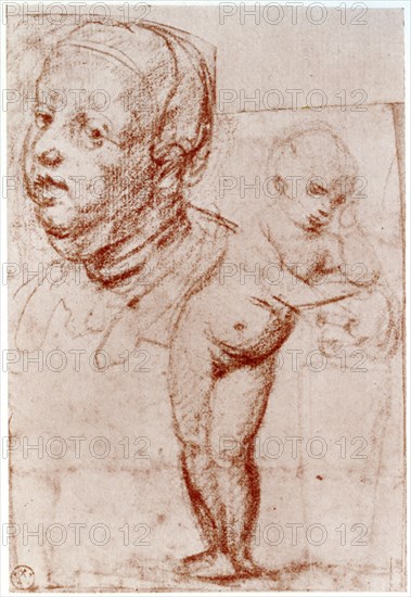 Studies, 1913.Artist: Albrecht Dürer