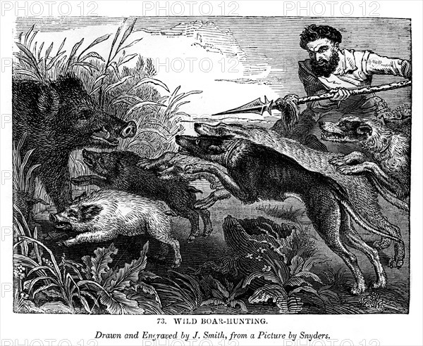 Wild boar hunting, c1600-1650 (1843). Creator: J Smith.