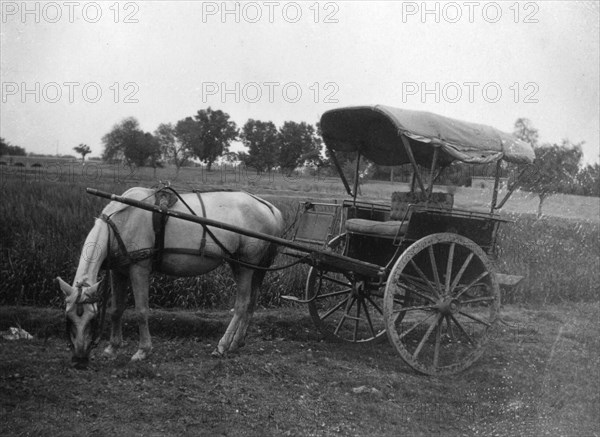 Tonga (horse cart), Muttra, India, 1917. Artist: Unknown