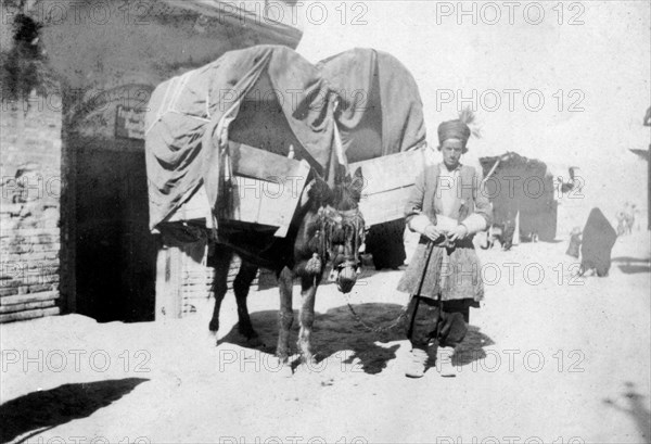 Persian donkey transport, Baghdad, Iraq, 1917-1919. Artist: Unknown