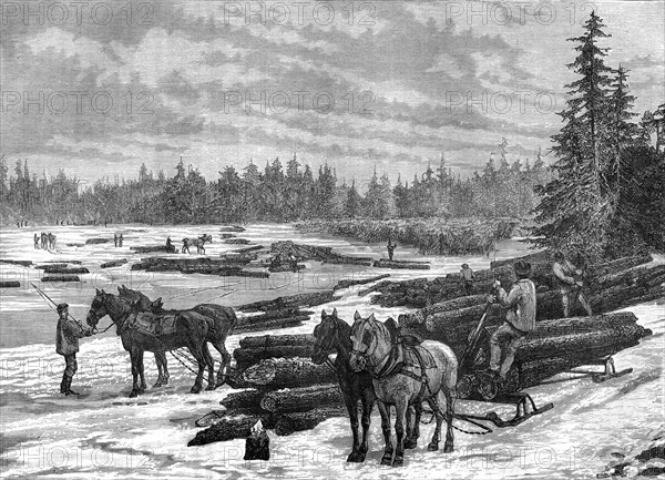 Canadian loggers, 19th century.Artist: Taylor