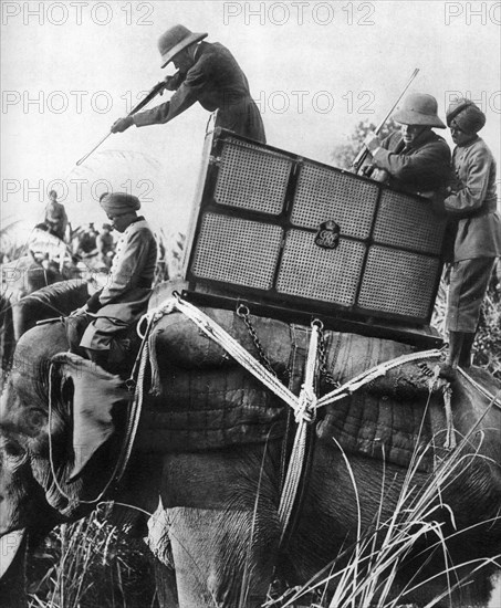 George V shooting tigers, India, 1911, (1935). Artist: Unknown