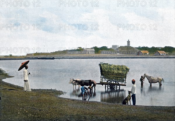 Colombo, Ceylon, c1890. Artist: Gillot