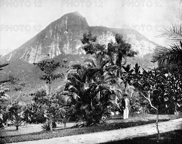 Botanical Gardens and Mount Corcovado, Rio De Janeiro, Brazil, 1893.Artist: John L Stoddard