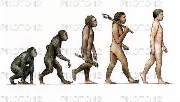 Evolution of ManArtist: Karen Humpage