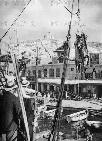 The shipping of mules, Syros Island, Greece, 1937.Artist: Martin Hurlimann