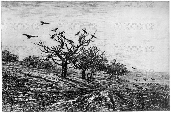 'Arbre a Corbeaux', 1840-1875, (1924). Artist: Charles François Daubigny