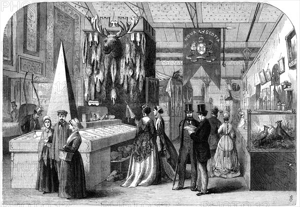 The Nova Scotia section of the Paris International Exhibition, 1867. Artist: Unknown