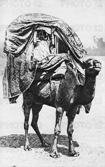 A girl on a camel litter, Algeria, 1922. Artist: Crete