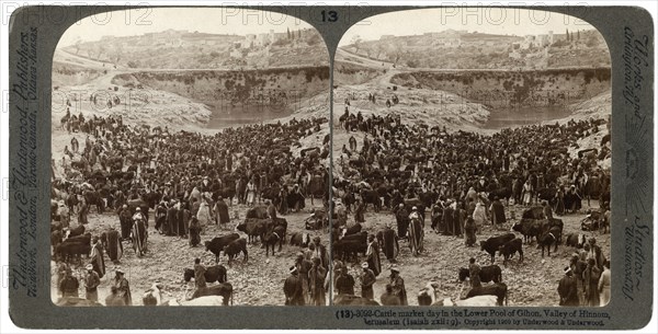 Cattle market day, in the lower pool of Gihon, Valley of Hinnom, Jerusalem, Palestine, 1900.Artist: Underwood & Underwood