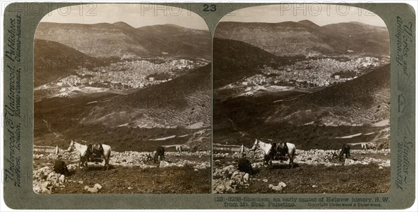 Shechem, south-west from Mount Ebal, Palestine, 1900s.Artist: Underwood & Underwood