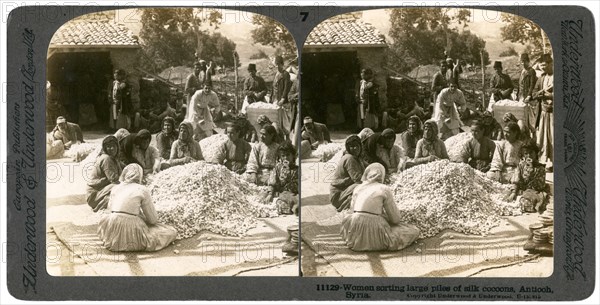 Women sorting large piles of silk cocoons, Antioch, Syria, 1900s.Artist: Underwood & Underwood