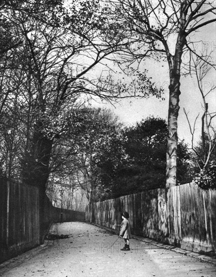 Autumn time in Holland Walk, London, 1926-1927.Artist: McLeish