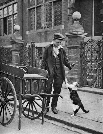 'Cat's meat man', London, 1926-1927. Artist: McLeish