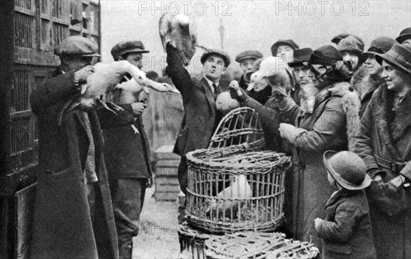 Poultry merchants, Caledonian Market, London, 1926-1927. Artist: Unknown