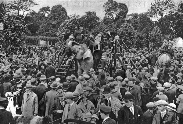 Elephant rides at London Zoo, 1926-1927. Artist: McLeish