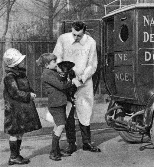 Ambulance of the National Canine Defence League, London, 1926-1927. Artist: Unknown