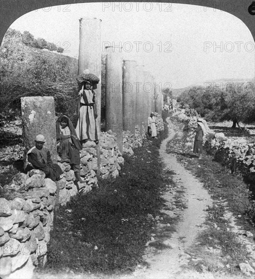 Herod's street of columns, Samaria, Palestine (Israel), 1905.Artist: Underwood & Underwood