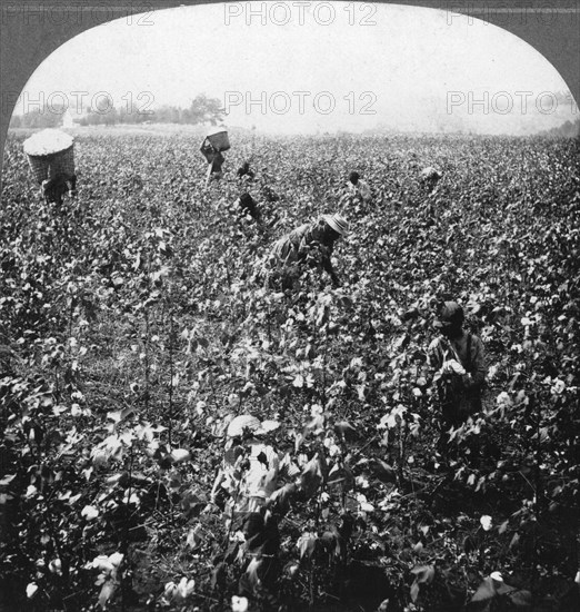 A cotton plantation, Rome, Georgia, USA, 1898.Artist: BL Singley