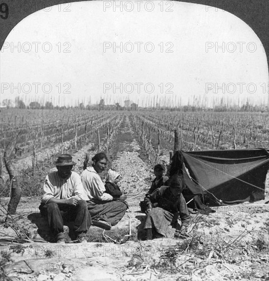 An Italian settler and his family, Mendoza, Argentina, 1900s. Artist: Unknown