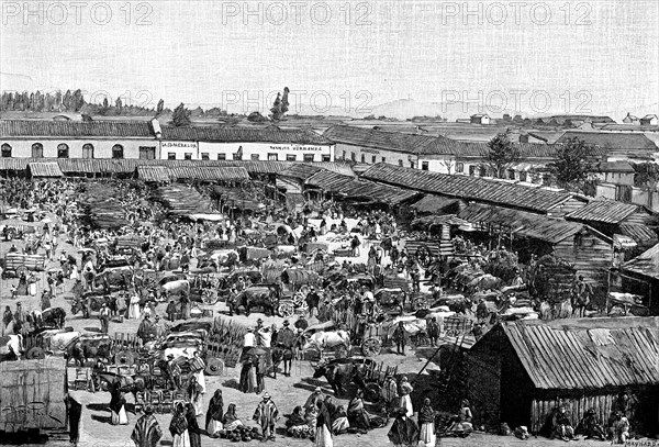 A market place, Chile, 1895. Artist: Unknown