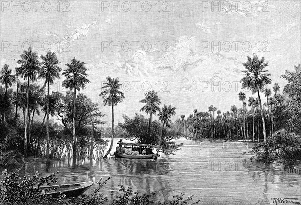 Las Palmes Lagunas, near the mouth of the Pilcomayo, 1895. Artist: Unknown