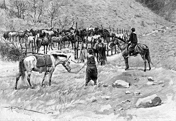 A corral, Patagonia, Argentina, 1895.Artist: Alfred Paris