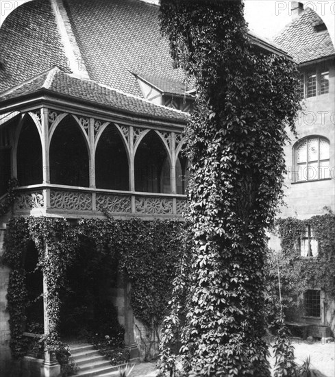 Lime tree in a courtyard, Nuremberg, Bavaria, Germany, c1900s.Artist: Wurthle & Sons