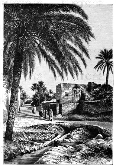 A street in  Biskra, Algeria, 1895.Artist: Meunier