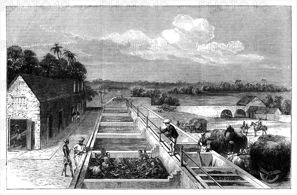 Manufacturing indigo in Tirhoot (Muzaffarpur), Lower Bengal, 1869. Artist: Unknown